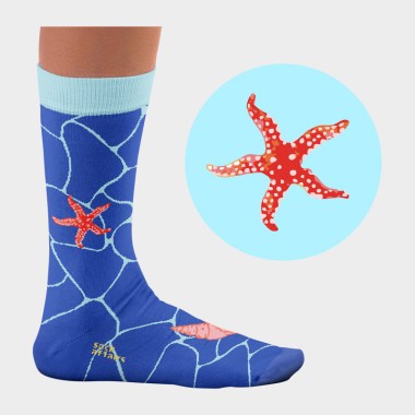 SHELLS_SEACOLLECTION_CP