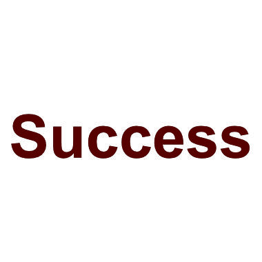 Success5.jpg