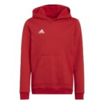 H57566 ENT22 HOODY ΒΑΜΒΑΚΕΡ ΦΟΥΤΕΡ - Image 5