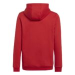 H57566 ENT22 HOODY ΒΑΜΒΑΚΕΡ ΦΟΥΤΕΡ - Image 4
