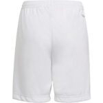 ADIDAS ENT22 SHO ΤΕΧΝΙΚΟ ΑΝΔΡΙΚΟ ΑΘΛΗΤΙΚΟ ΣΟΡΤΣ - Image 4